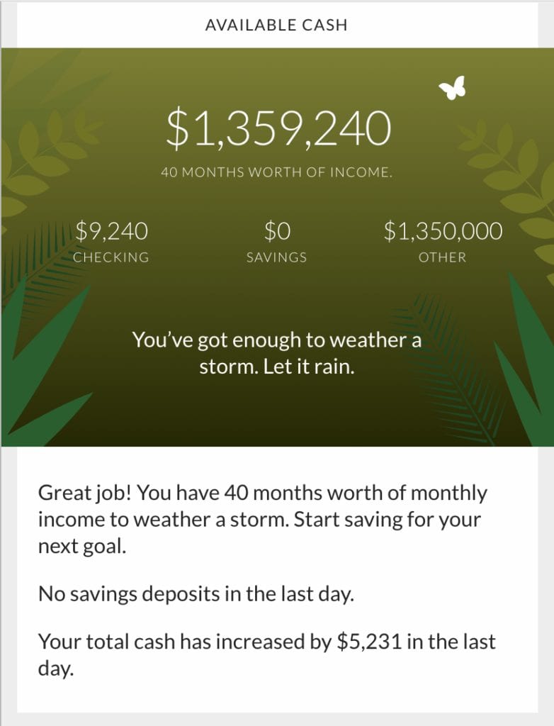 Cinch Financial App Review The Future Of Budget Automation