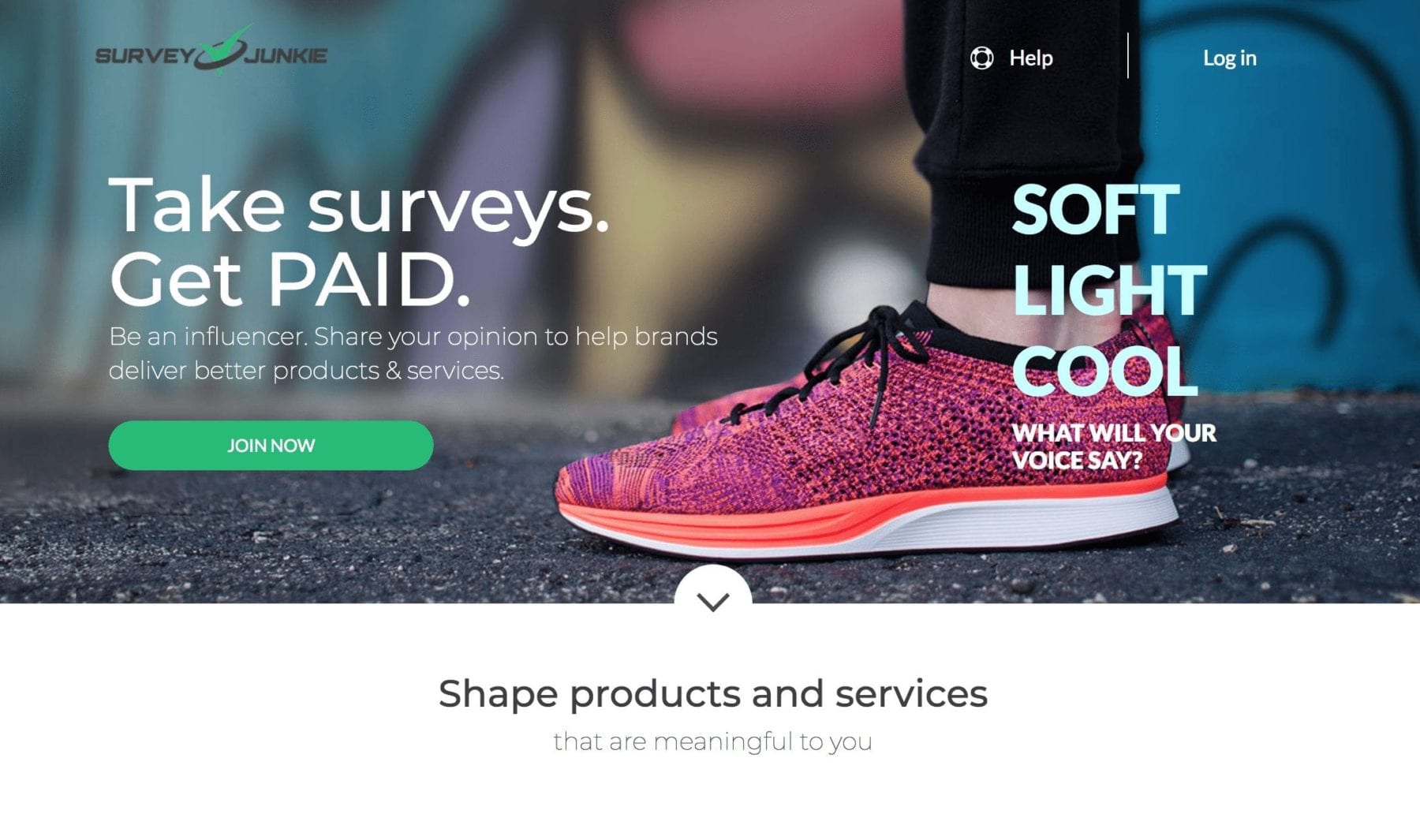 Survey Junkie | Millennial Money