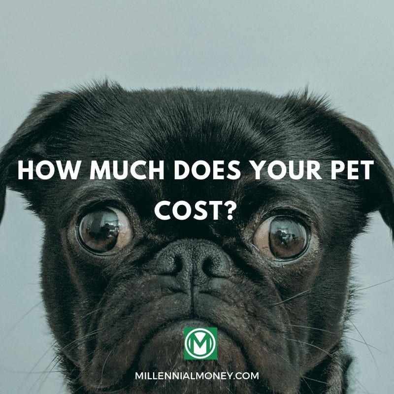 cost-of-pet-ownership-millennial-money