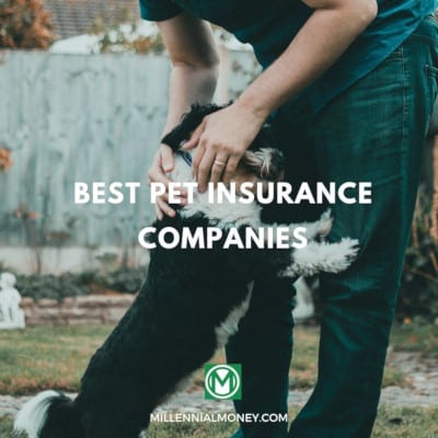 best pet insurance providers