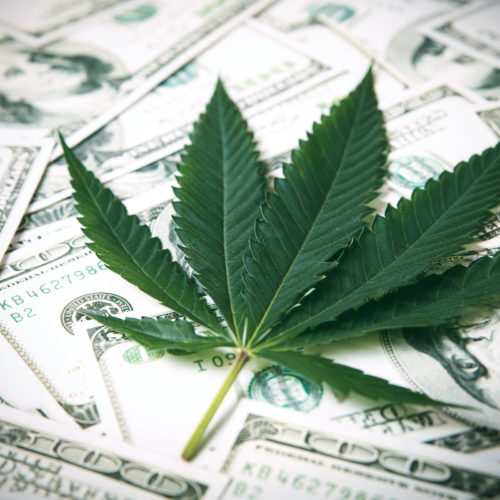 Cannabis Stocks for Dividend Investors