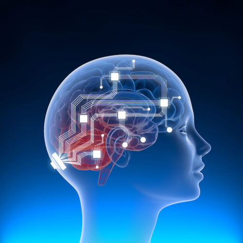 Neuralink Stock: When Can Investors Buy Shares in Elon Musk’s Neurotechnology Company? Featured Image