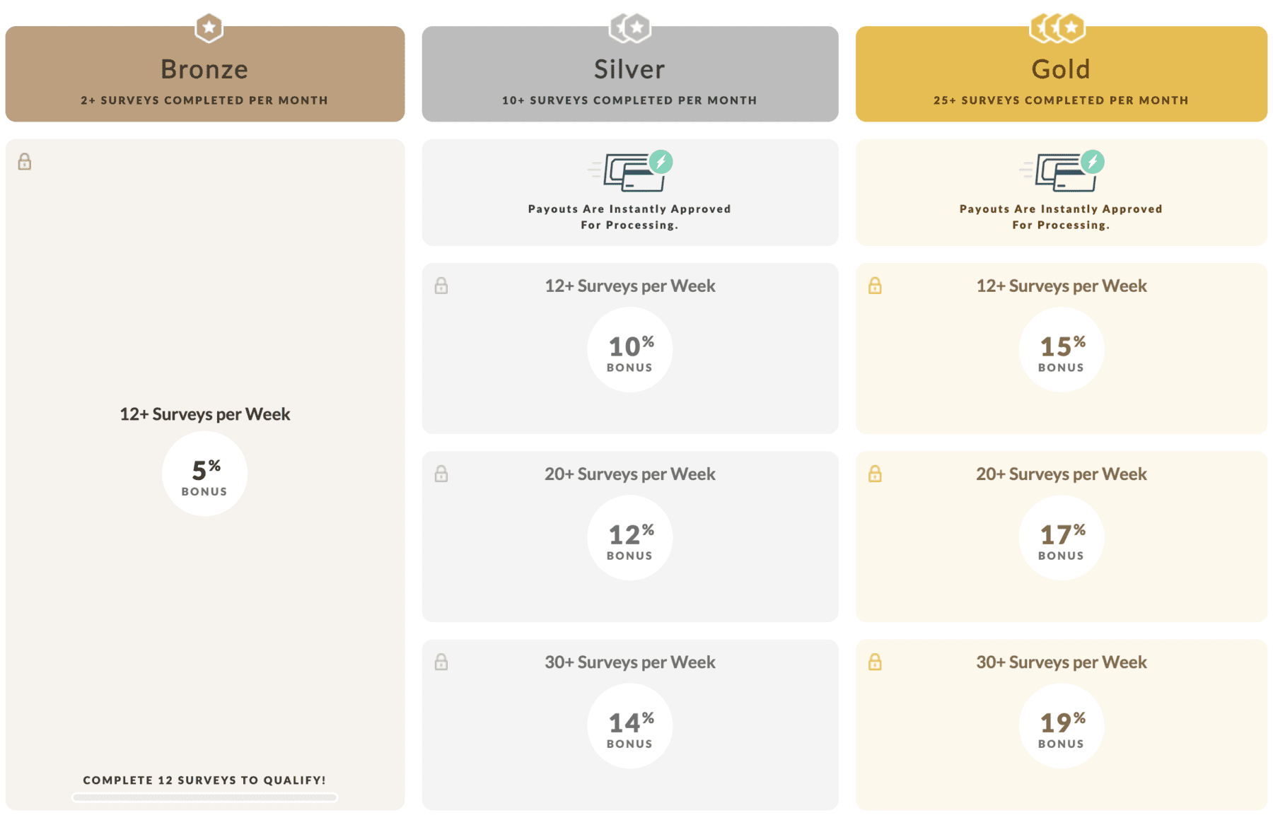 Branded Surveys Branded Elite Program