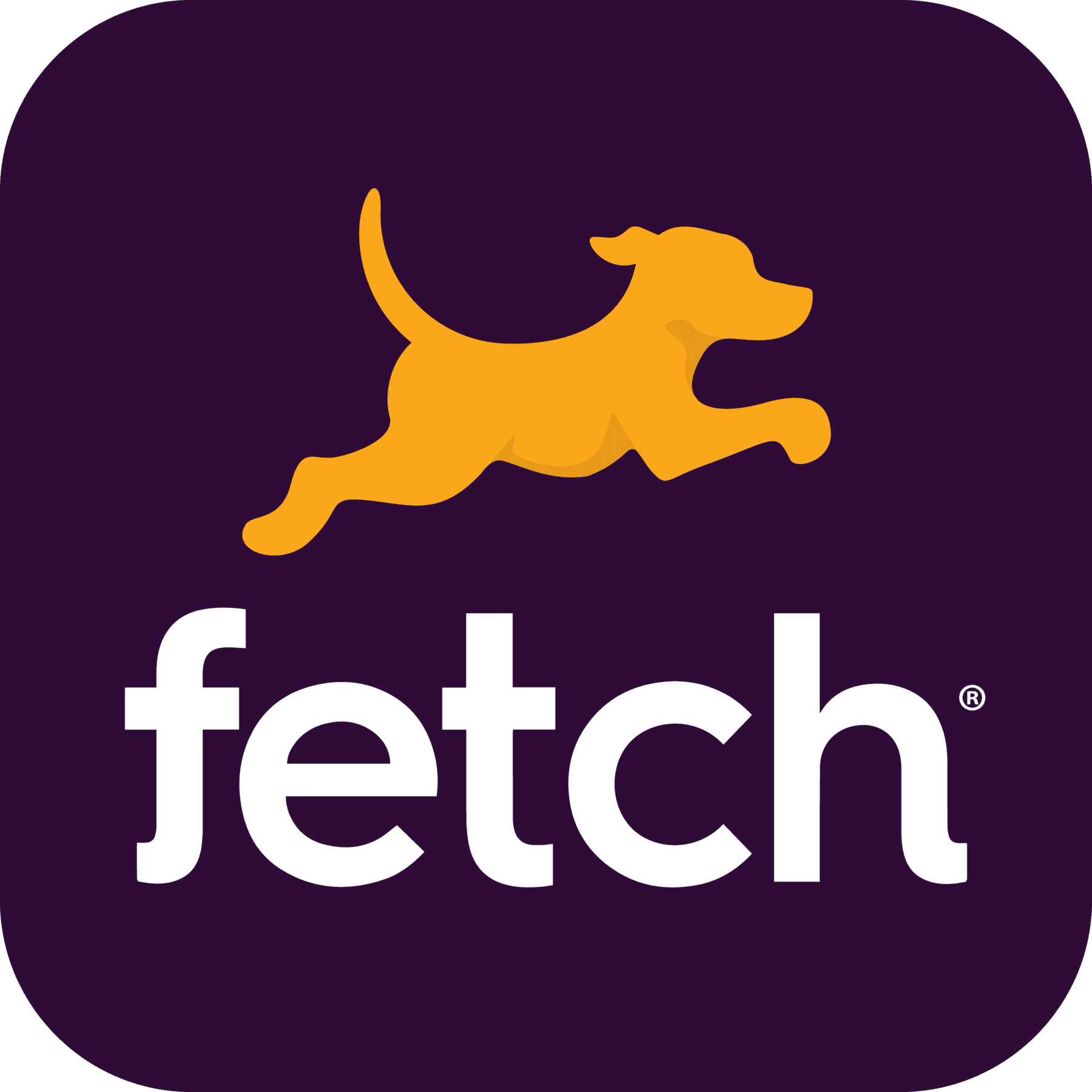 fetch Logo